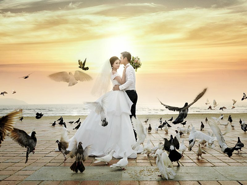 Cách tạo dáng chụp ảnh cưới ngoại cảnh với khung cảnh ở xa xa là biển và xung quanh là diễn viên quần chúng đàn bồ câu đang bay xung quanh, cô dâu chú rể đứng sát vào nhau, chú rể hôn nhẹ lên trán cô dâu, cô dâu đặt tay lên vai chú rể, chú rể đặt 1 tay ngang eo cô dâu. 
