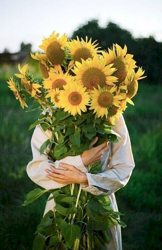 Cách tạo dáng với hoa hướng dương sáng tạo bằng cách tay ôm lấy bó hoa hướng dương vào hường, sao cho những bông hoa che đi phần đầu. 