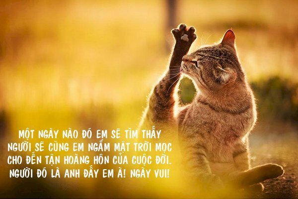 Hình ảnh chúc bà xã ngày mới hài hước