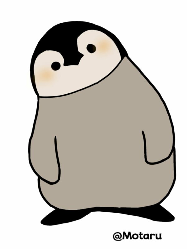 Hướng dẫn cách vẽ chim cánh cụt đơn giản với 8 bước ai cũng thực hiện