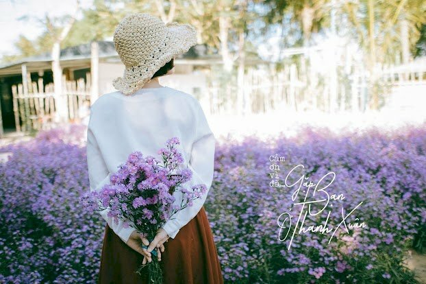 Cách tạo dáng chụp ảnh ở vườn hoa bằng cách đứng quay lưng vào ống kính máy ảnh, hay tay để vòng sau và cầm láy bó hoa, đầu hơi nghiêng về 1 bên, sẽ tạo nên 1 bức ảnh đẹp với tiền cảnh người đứng quay lưng và hậu cảnh là cánh đồng hoa. 