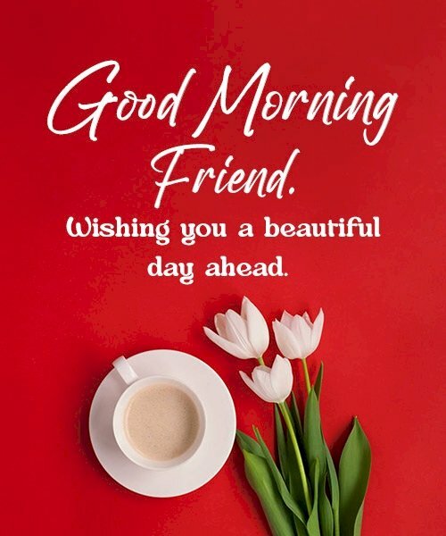 Hình ảnh chúc ngày mới tốt lành Good morning friend, Wishing you a beautiful day ahead