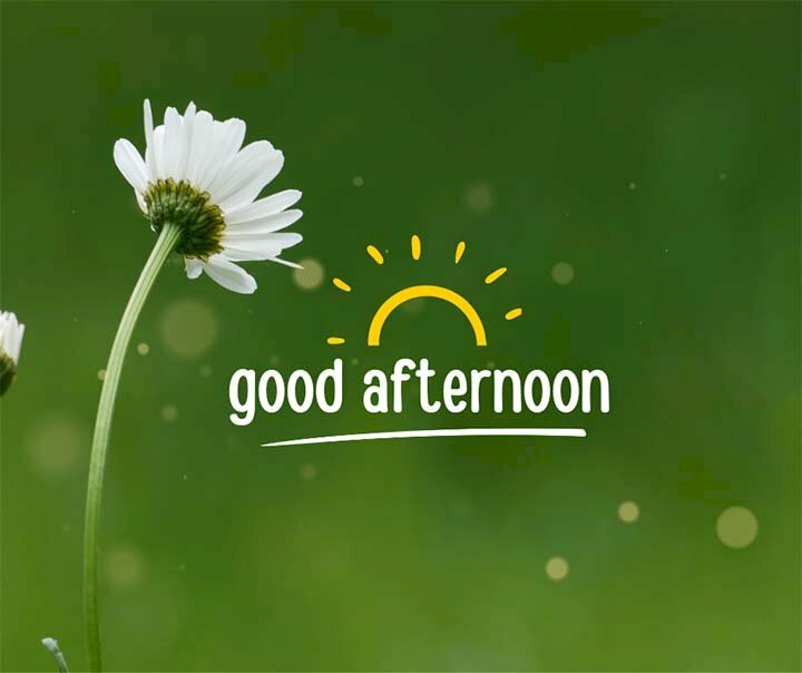 Hình ảnh hoa chúc buổi chiều an lành