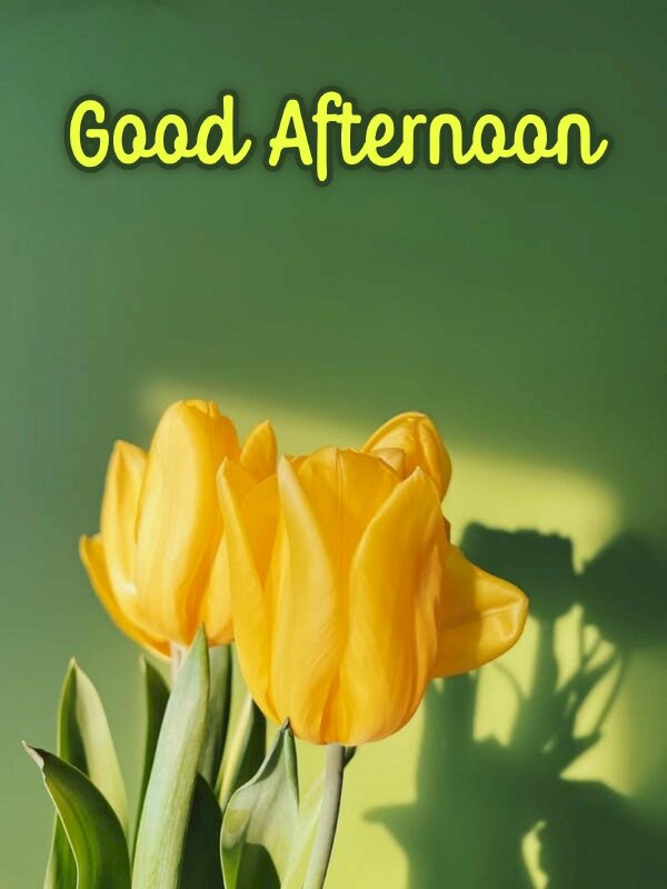 Hình ảnh hoa chúc buổi chiều đẹp nhẹ nhàng