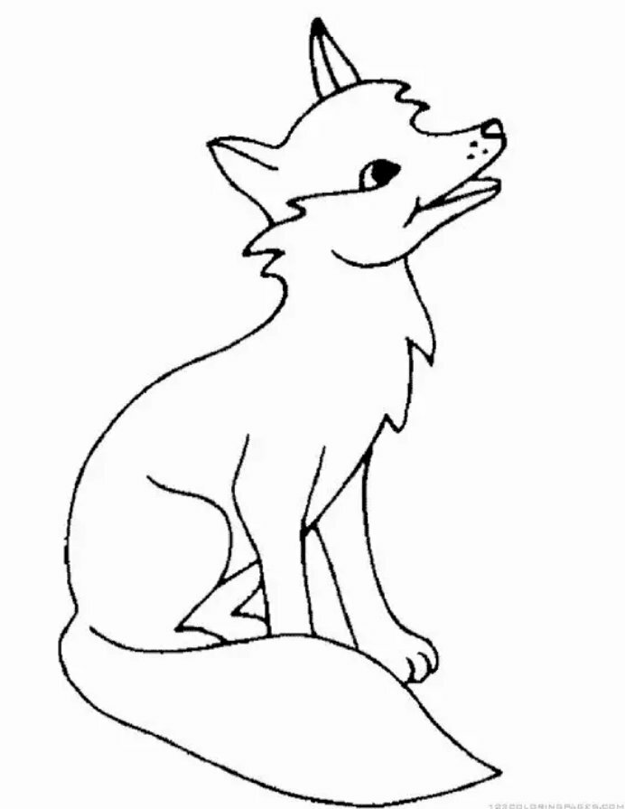 Cách vẽ chó sói như thật  How to draw a Wolf  YouTube