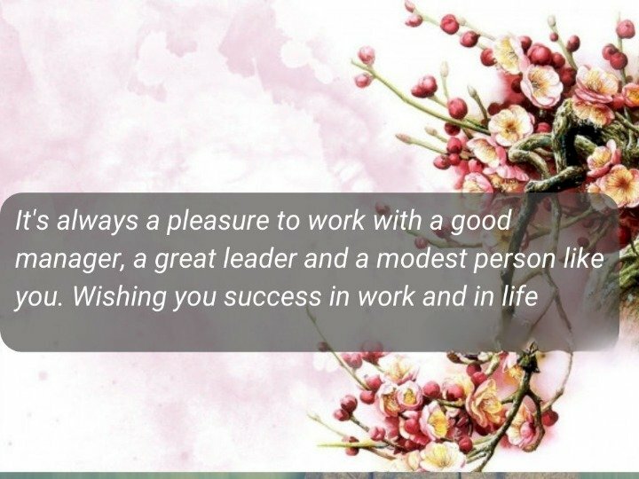 Hình ảnh nhánh hoa đào tuyệt đẹp cùng lời chúc ý nghĩa mừng thăng chức