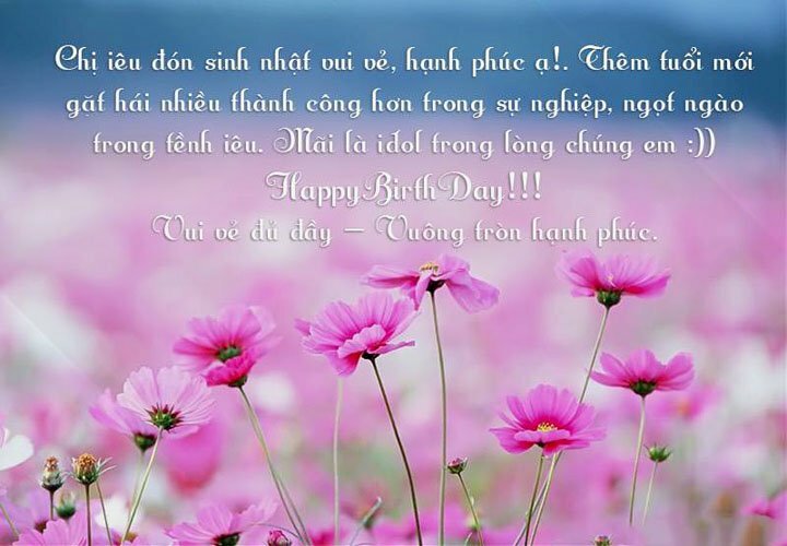Hình ảnh những nhành hoa dại tuyệt đẹp cùng lời chúc sinh nhật chị gái siêu dễ thương