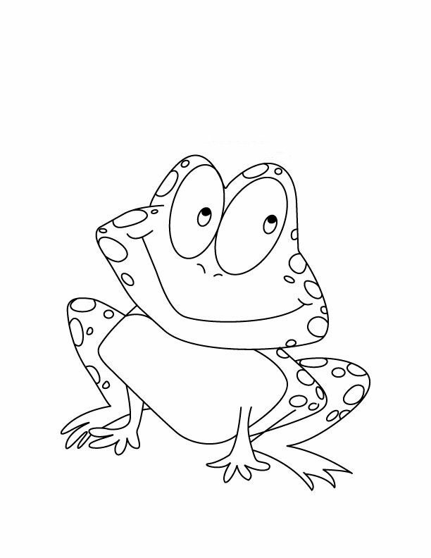 Những chú ếch ngộ nghĩnh với biểu hiện của con người