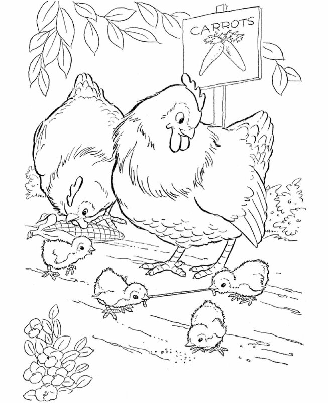 Cách vẽ con gà  Dạy Vẽ
