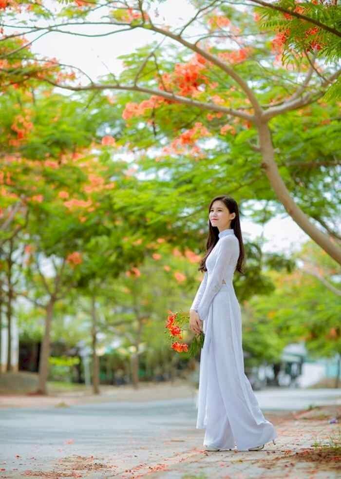 Kiểu tạo dáng nữ đứng dưới cây phượng vỹ hoa đỏ rực, người đứng thẳng tự nhiên, mặt nhìn nghiêng, miệng cười nhẹ, 2 xuôi thẳng cầm nhánh hoa phượng, chụp lấy góc nghiêng hướng từ dưới lên