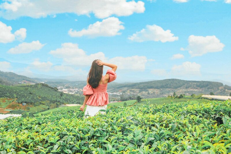 Kiểu tạo dáng cuốn hút trong chiếc váy đỏ, tóc xõa dài, một tay chạm tóc, 1 tay chạm nắm lá trà non, góc chụp từ sau lưng