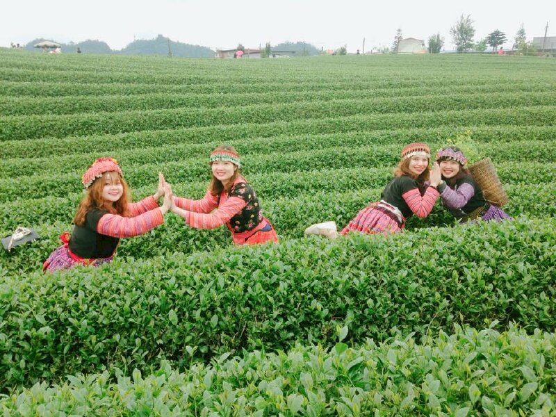 Tạo dáng của nhóm bạn gồm 4 cô gái trên đồi chè rất xinh tươi với 2 bạn nữa đứng quay vào chạm tay nhau, miệng cười tươi, mắt nhìn ống kính toát lên vẻ đẹp hồn nhiên cùng bộ quần áo truyền thống