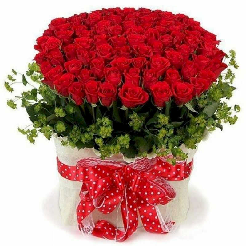 Sinh nhật chồng nên tặng hoa gì để chồng yêu mình hơn