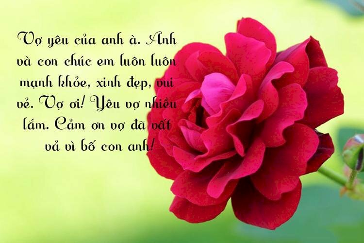Ảnh hoa hồng đỏ kèm dòng chữ chúc mừng sinh nhật vợ yêu đầy yêu thương ngọt ngào