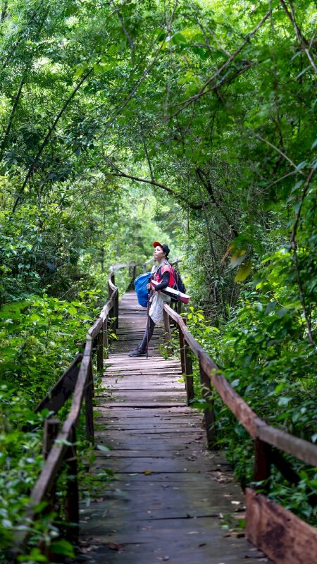 Tạo dáng chụp ảnh trên cầu khi đi du lịch trong một khu rừng nhiệt đới với khoảnh khắc tựa người vào thành cầu ngẩng đầu nhìn cây rừng chill phết