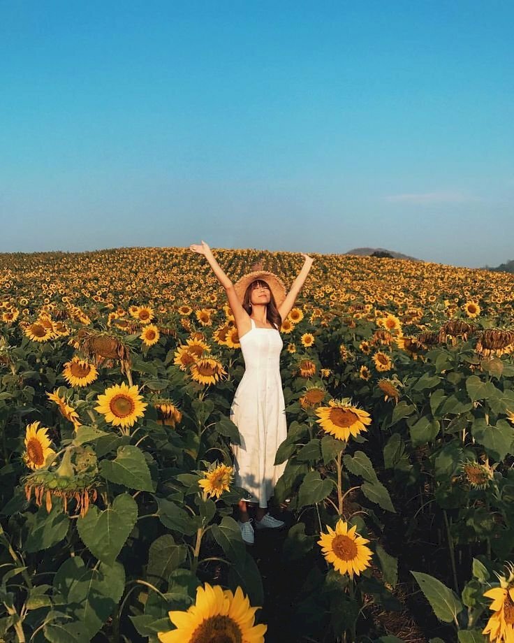 Cách tạo dáng chụp ảnh ở vườn hoa hướng dương đẹp bằng cách đứng quay mặt vào ống kính, đưa mặt ngước lên nhìn trời, mắt nhắm hờ, đưa 2 tay lên cao, tạo cảm giác thích thú, sảng khoái. 