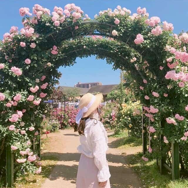 Cô gái trong bộ đầm trắng cùng chiếc nón vành to đứng giữa cánh cổng trong vườn hồng phủ nắng vàng