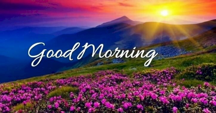 Hình ảnh chúc vợ yêu ngày mới cánh đồng hoa đẹp nhất