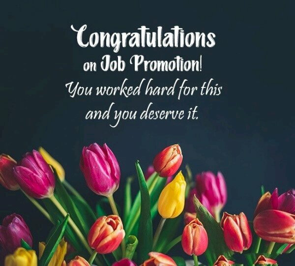 Hình ảnh vườn hoa tulip nhiều màu cùng lời chúc thành công cho công việc mừng thăng chức cho bạn bè, đồng nghiệp