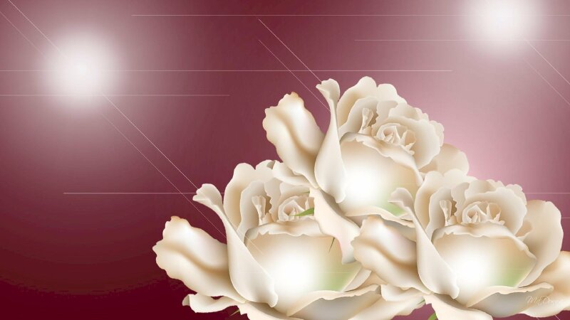 Hình nền chùm hoa hồng trắng 3D tuyệt đẹp