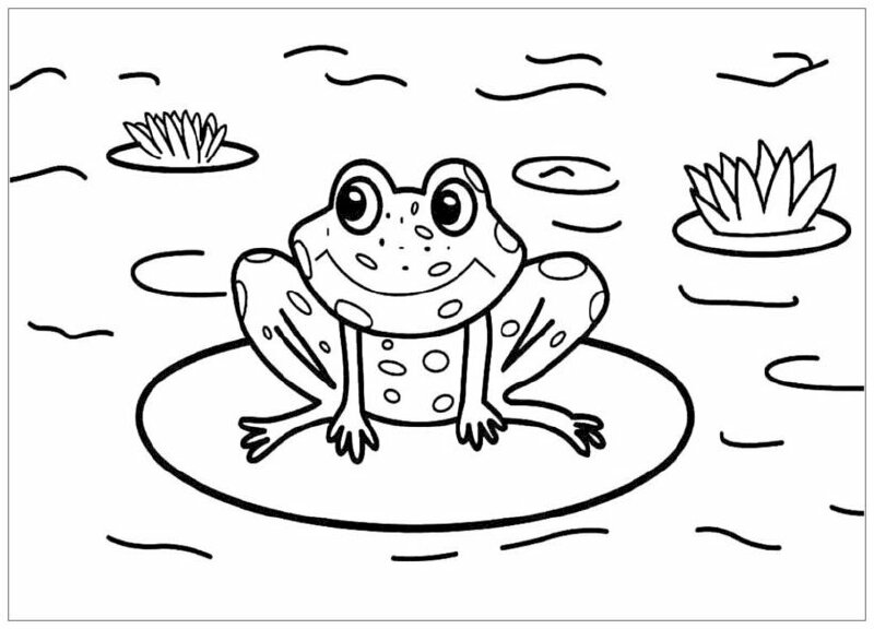 Lưỡng Cư Ếch Phim Hoạt Hình - dễ thương con ếch png tải về - Miễn phí trong  suốt Nghệ Thuật png Tải về.