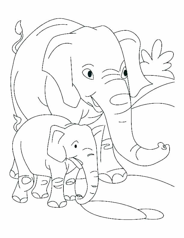 Hình hình ảnh voi u và coi con cái đang di chuyển dạo bước siêu cute