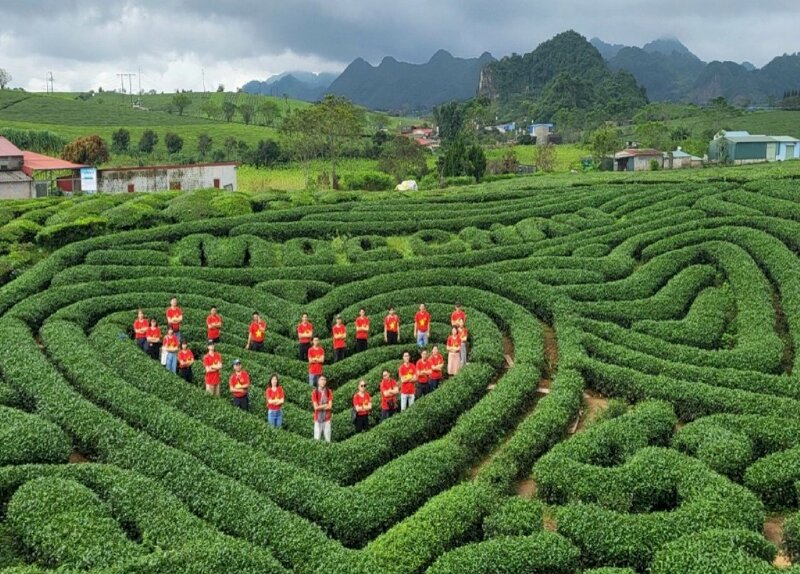 Tạo dáng trong chiếc áo màu cờ đỏ sau vàng Việt Nam trong tư thế đứng khoanh tay, xếp hình trái tim trên đồi chè trái tim Mộc Châu