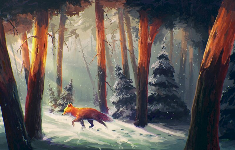 Hình ảnh con cáo đi trên tuyết trong khu rừng hướng về bình minh