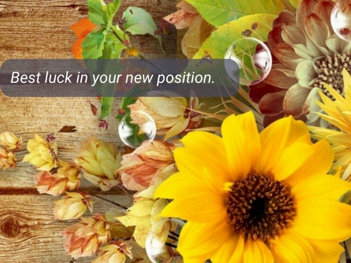 Hình ảnh mừng lên chúc đẹp và lời chúc ý nghĩa bằng tiếng Anh