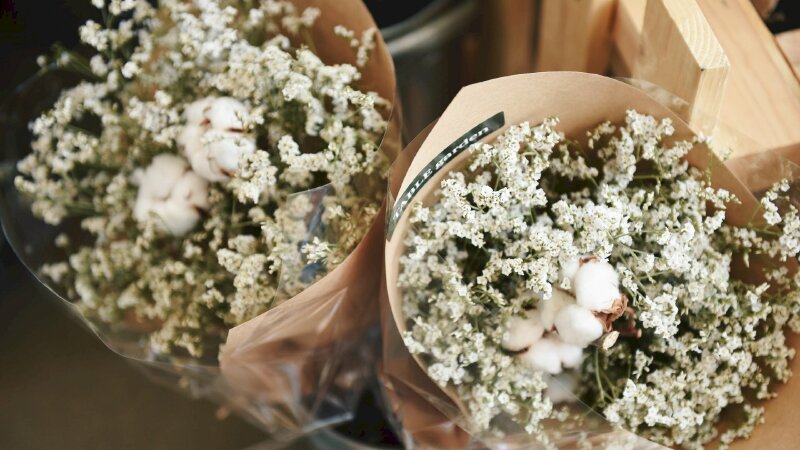 Hình nền 2 bó hoa cúc baby xinh đẹp