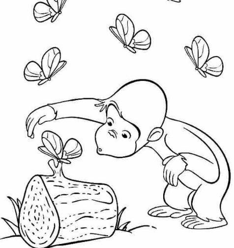 Hướng dẫn vẽ hình ảnh con khỉ tô màu cho trẻ em và người mới học vẽ