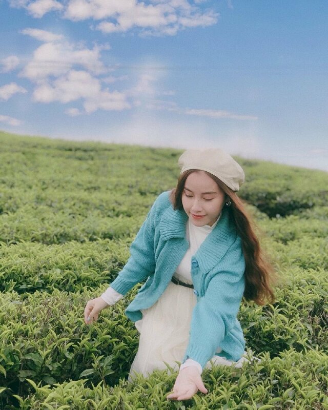 Cách tạo dáng xinh xắn của cô gái ở đồi chè với một tay chạm nhẹ lá chè xanh, ngươi khom xuống, mắt nhìn lá chè, miệng cười mỉm