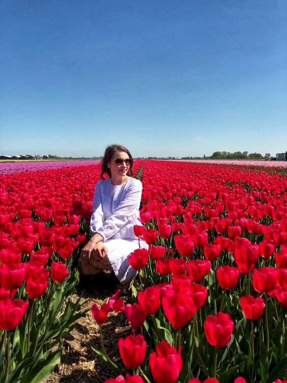 Để tạo dáng chụp ảnh ở cánh đồng hoa nở đỏ rực cao ngang gối, để có bức ảnh đẹp bạn hãy tiến đến ngồi giữa luống đi vườn hoa, hãy ngồi xổm đặt tay lên đùi.