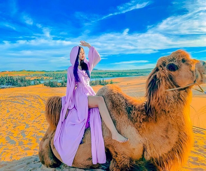 Cách tạo dáng chụp ảnh trên đồi cát cho nữ với lạc đà không khác gì ở Dubai, với kiểu này bạn hãy mặc bộ đầm rộng, màu tím nhạt, ngồi trên lưng lạc đà, khoe ra chân dài miên mang, để 1 tay chống lên sau lưng lạc đà và 1 tay đưa lên che nắng, gương mặt hơi ngước lên. 