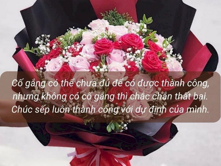 Hình ảnh bó hoa hồng nở đỏ rực và lời chúc mừng thăng chức