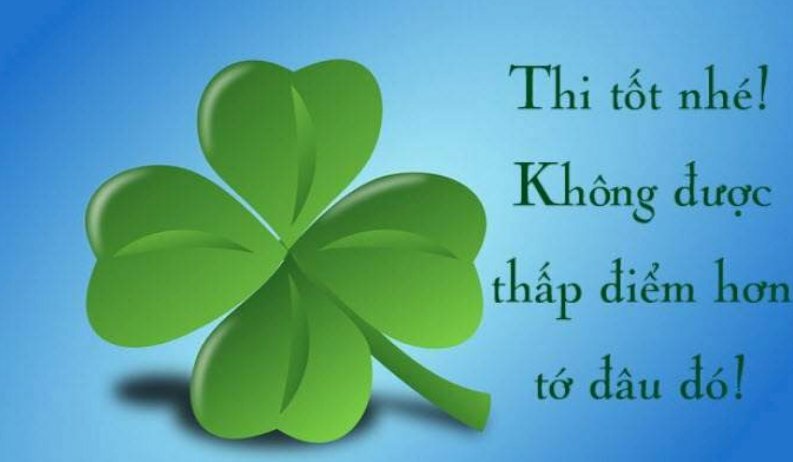Hình ảnh cỏ bốn lá may mắn cùng lời chúc thi tốt