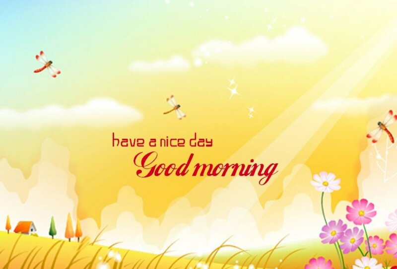 Hình ảnh đơn giản nhưng đẹp và ý nghĩa dành tặng người yêu với dòng chữ Have a nice day - Good morning