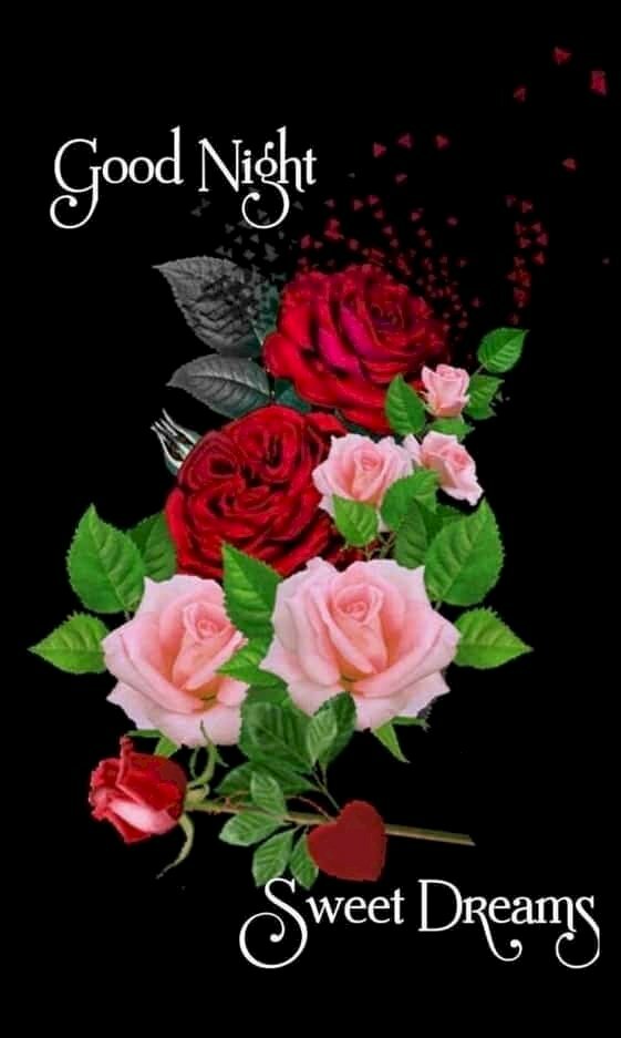 Hình ảnh hoa hồng ngọt ngào chúc chồng yêu ngủ ngon và mơ đẹp