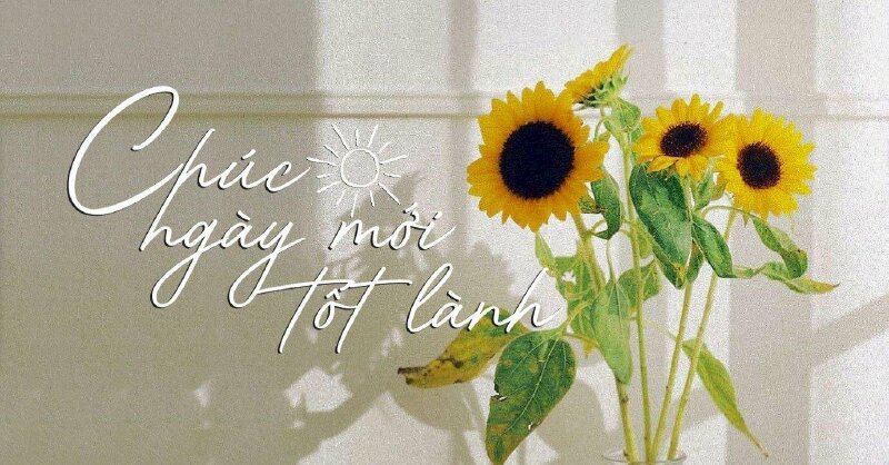 Hình ảnh chúc ngày mới tốt lành đẹp nhẹ nhàng