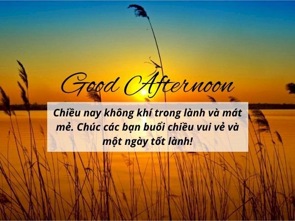 Hình ảnh lời chúc buổi chiều tốt lành