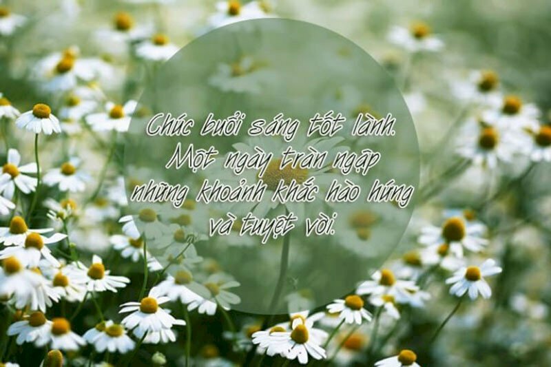 Hình ảnh chúc một ngày mới tốt lành tràn đầy tuyệt vời 