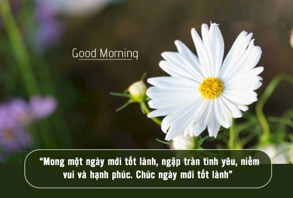 Tải hình ảnh chúc ngày mới tốt lành kèm lời chúc hay 