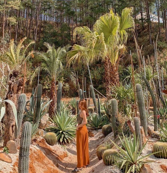 Tạo dáng đứng quay lưng hơi nghiêng người, mặt hướng về ống kính, tóc xoã nhẹ che một phần gương mặt