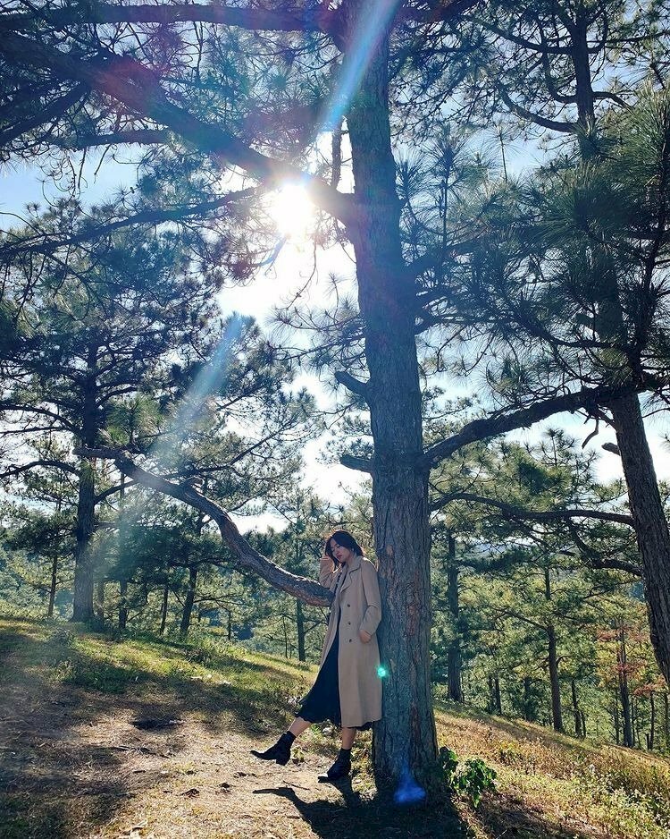 Tạo dáng đơn giản đứng dựa lựng vào một cây thông, một chân đưa nhẹ ra trước, một tay đút túi áo khoác hay túi quần, đầu nghiêng nhẹ