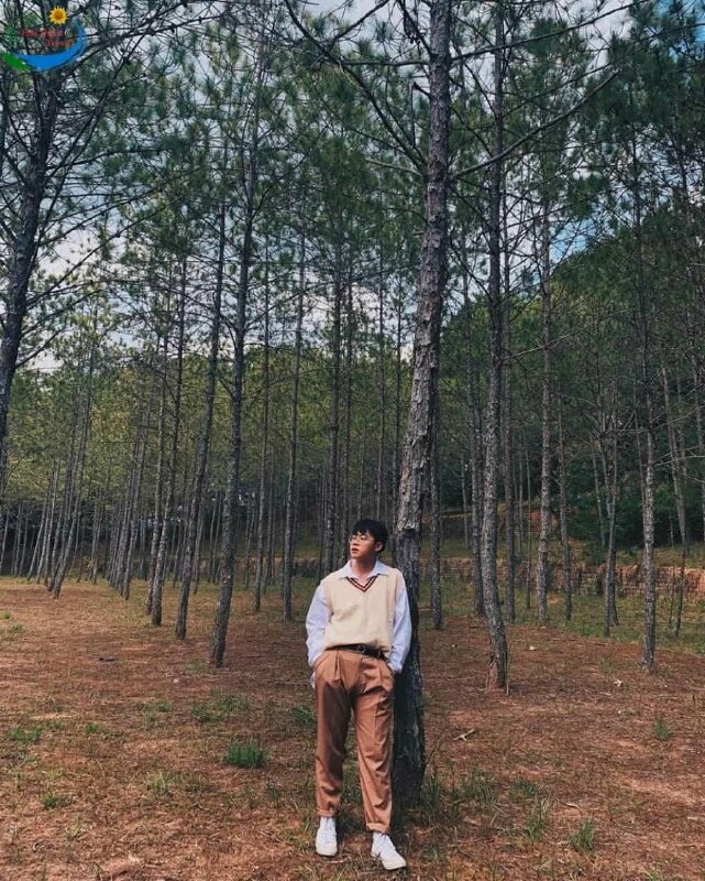 Tạo dáng đứng tựa vai vào cây thông, một chân đưa nhẹ lên phía trước, một chân trụ thẳng, hai tay đút túi quần, mặt quay nghiêng hướng ánh mắt ra xa