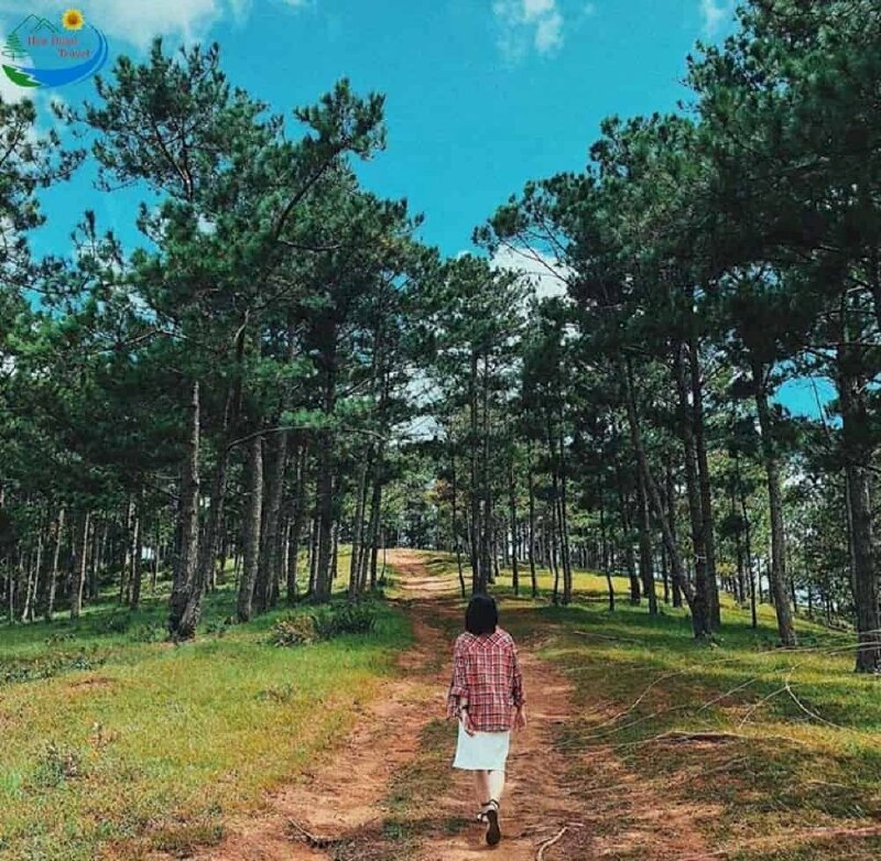 Tạo dáng bước đi tự nhiên