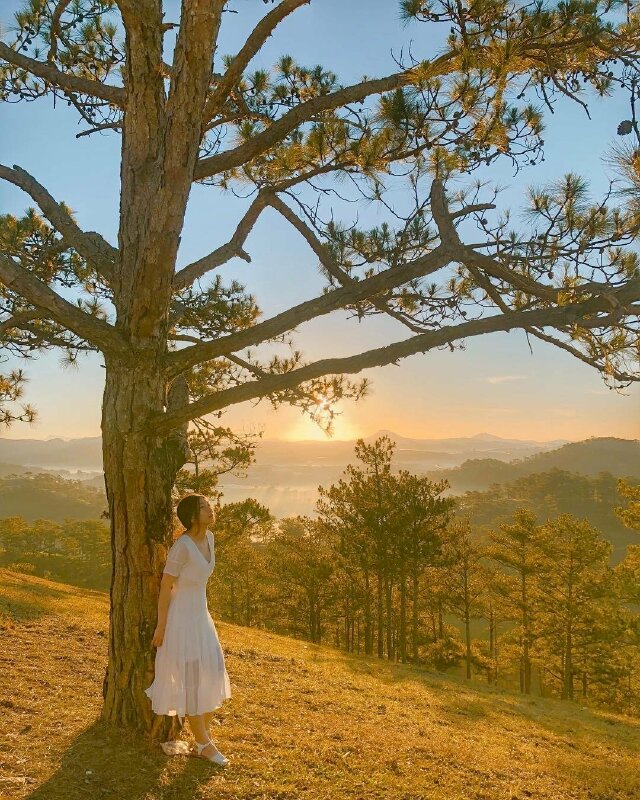 Tạo dáng đứng hơi tựa hông vào gốc thông, hai chân chéo nhẹ, tay vươn sau vịnh vào thân cây, mặt hướng cằm lên trên