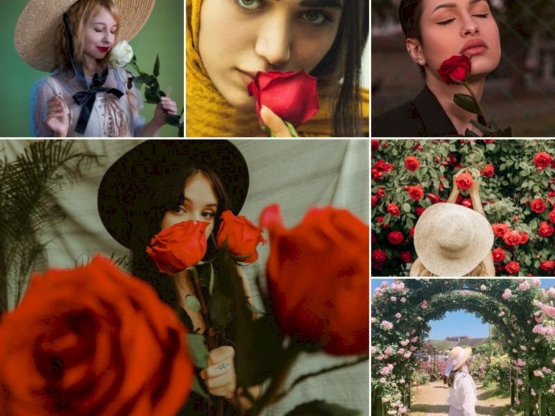 101 cách tạo dáng chụp ảnh với hoa hồng đẹp nhất, tải miễn phí
