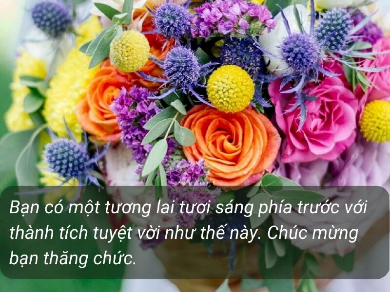 Hình ảnh nhiều loại hoa hồng khác màu nhau tuyệt đẹp kèm lời chúc mừng thăng chức đến bạn, đồng nghiệp