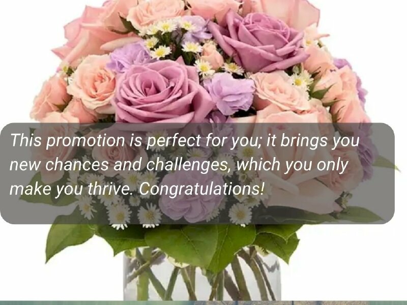 Hình ảnh hoa hồng gửi kèm lời chúc mừng lên chức
